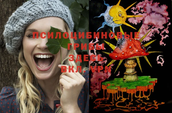 молекула духа Алексеевка