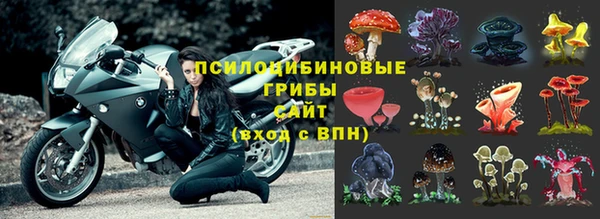 Альфа ПВП Алзамай