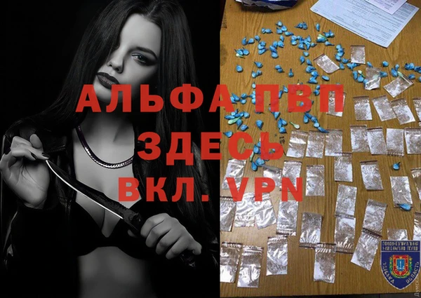 молекула духа Алексеевка